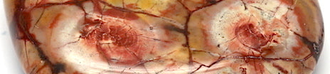 Jaspe Oeil d'Oiseau