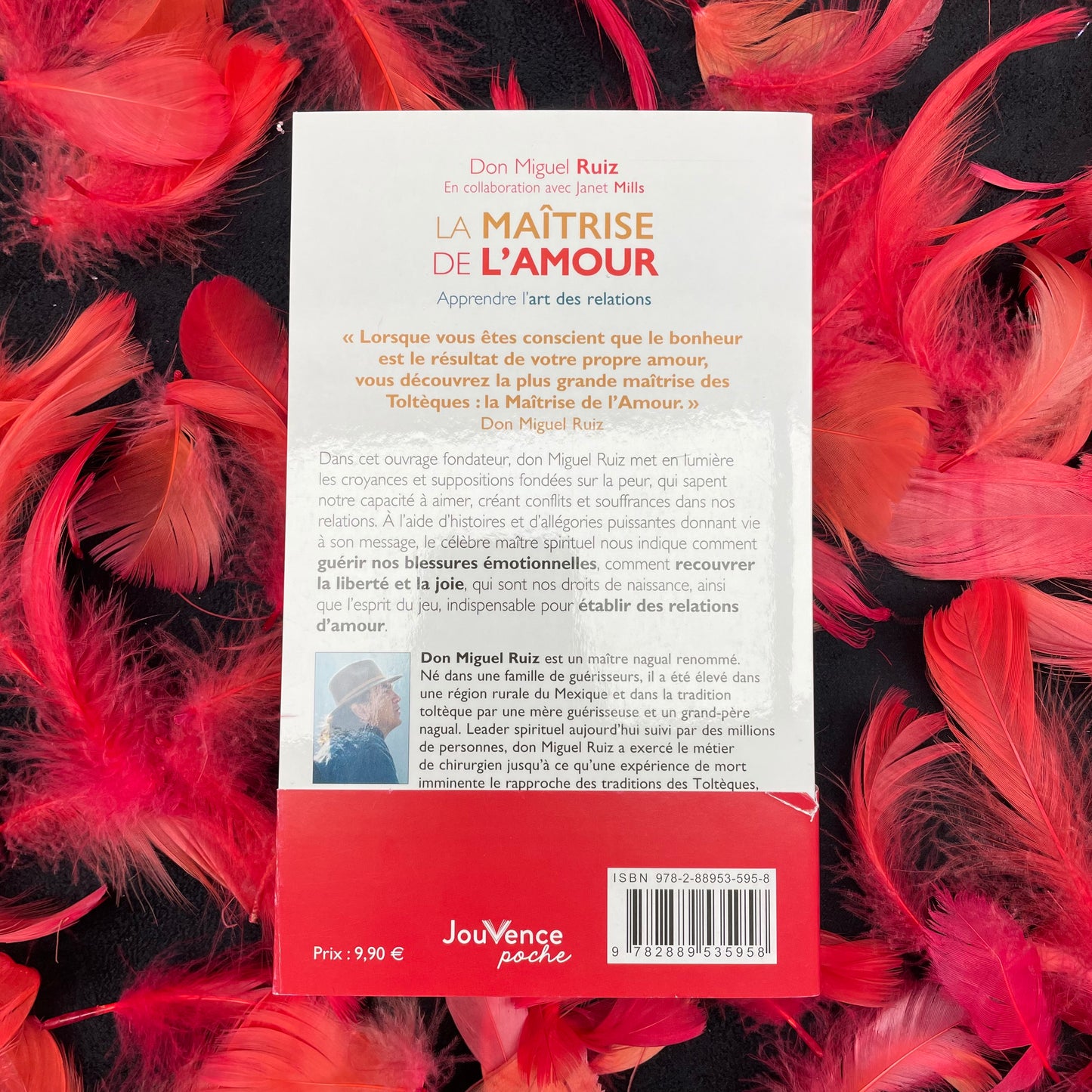 Livre - La maîtrise de l'amour